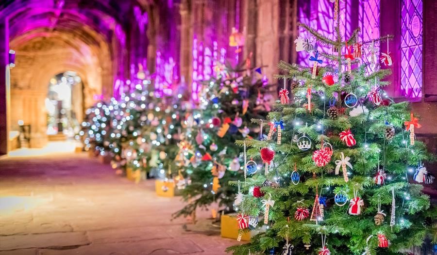 Chester Cathedral Christmas Tree festival